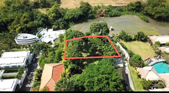 FLBerawa67  |  Indo Investments